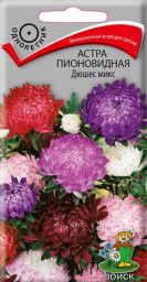 Астра пионовидная Дюшес микс 0,3гр Поиск