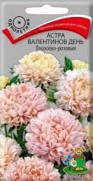 Астра Валентинов день Лососево-розовая Поиск