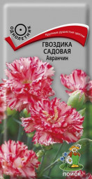 Гвоздика садовая Авранчин 0,1гр Поиск