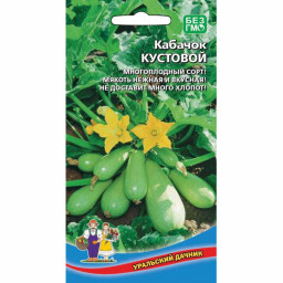 Кабачок Кустовой 10шт УД